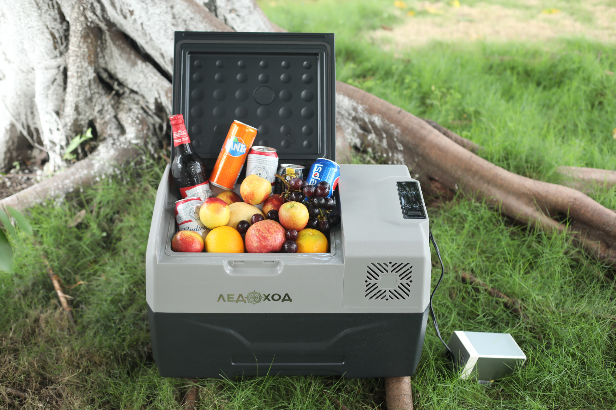 Автохолодильник компрессорный Ледоход СХ-30